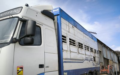 Vente judiciaire aux enchères publiques Jeudi 18 septembre 2025 à 14H30